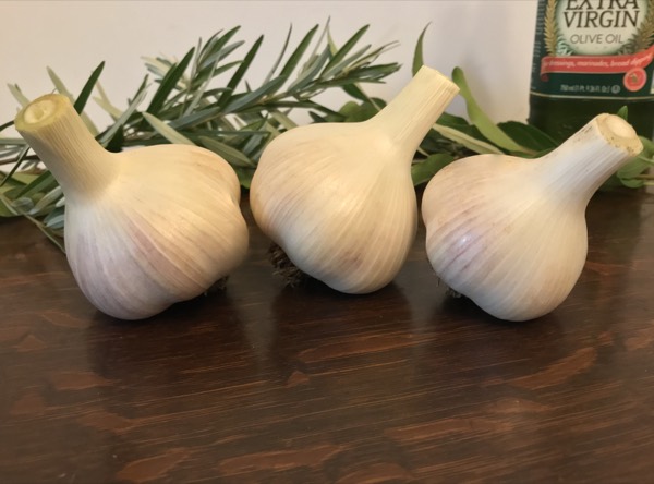 Three cured hardneck garlic bulbs with fresh herbs