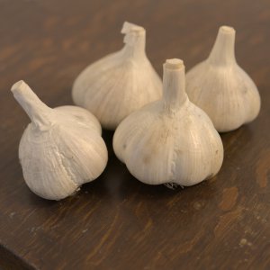 Music Hard Neck Garlic Seed - Grade A