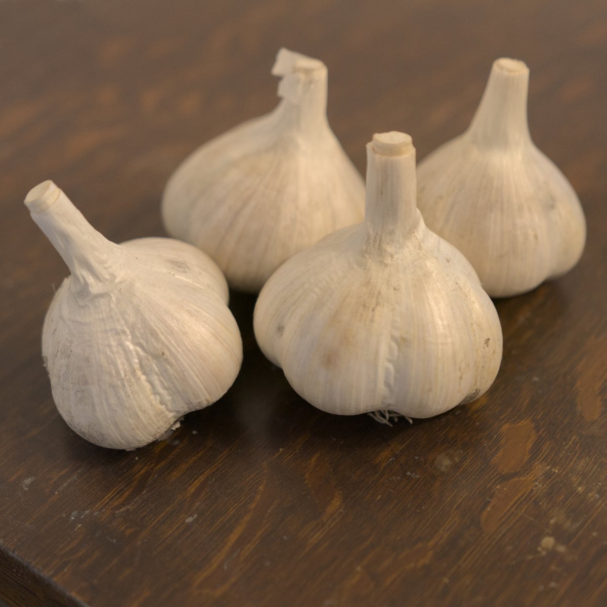 Music Hard Neck Garlic Seed - Grade A