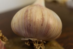 Music Hard Neck Garlic Seed - Grade C view 3