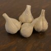 Music Hard Neck Garlic Seed - Grade D view 1